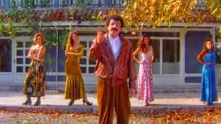                                                          دندنها