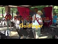 99 Red Balloons - Goldfinger - Neighborhood Picnic Band 2015