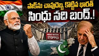 Indian big Shock to Pakistan on Indus Water Dispute | PM Modi | Shehbaz Sharif