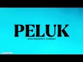 Download Lagu PELUK - HAEL HUSAINI FT. NADEERA (LIRIK)