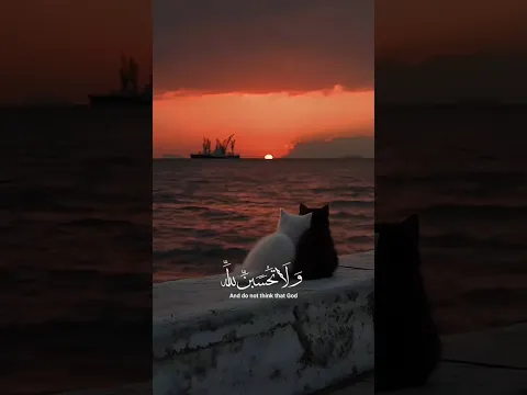 ❤️🥺#عبدالرحمن_مسعد