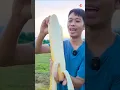 Download Lagu Big Banana In The World 😱