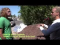 Tropical Fruit Trees - Perfect soil for container growing in Phoenix