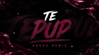 Descarcă Te pup - Bogdan DLP (havva remix) MP3 gratuit - Muzica123