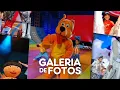 Download Lagu Galeria de Fotos • Xuxa Festa ao vivo