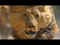 Download Lagu WHEN LIONS ATTACK *BRUTAL* National Geographic Documentary 2020 | 1080p
