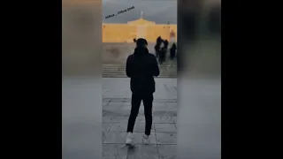 مرتضی جعفرزاده آهای گل بی وفا Morteza Jafarzadeh Ahay Gole Bi Vafa 