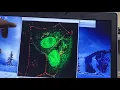 Confocal Image Processing Analysis Using ImageJ