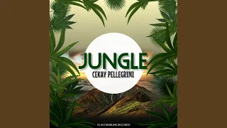 jungle cekay 2020 edit 
