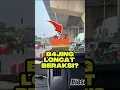 Download Lagu B4JING L0NCAT BERAKSI DI SIANG || KLTR