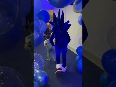 Sonic chegou na festa.