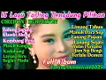Download Lagu Tarling Tengdung Dermayon Lagu Lagu Pilihan Terbaik