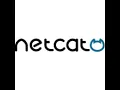 Netcat Chat File Share Reverse shell
