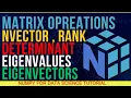 What Are Vector Matrix Rank Eigenvalues Eigenvectors Determinant etc in NumPy