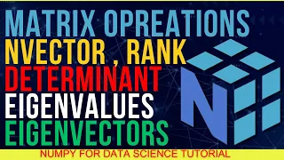 What Are Vector Matrix Rank Eigenvalues Eigenvectors Determinant etc in NumPy