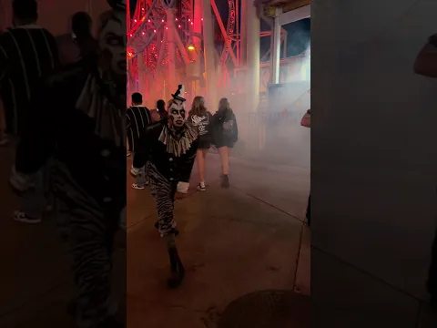 MESMERizing 🎪 Knott’s Scary Farm