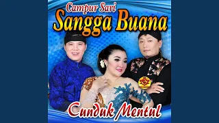 Download Bowo Sopo Wonge (feat. Wulandari) MP3