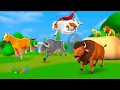Download Lagu Farm Animals Prank 🤣 Super Cow vs Funny Wild Animals Surprise