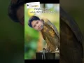 Download Lagu lawak ringtone😂😂 | Tiktok