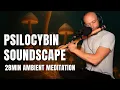 Download Lagu Psilocybin Soundscape – 28min Live Ambient Meditation | Biosonified Truffle, Bansuri \u0026 Soma Terra