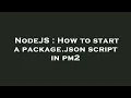 NodeJS How to start a package json script in pm2