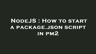 NodeJS How to start a package json script in pm2