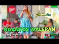 Download Lagu NGANTOS WALERAN ( Ujang Choplox) versi FITRI NICO // BAJIDORAN SUNDA NICO ENTERTAINMENT