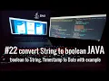 java how to convert String to boolean boolean to String Timestamp to Date with example