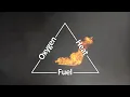 Fire Facts and Prevention - Safety Training