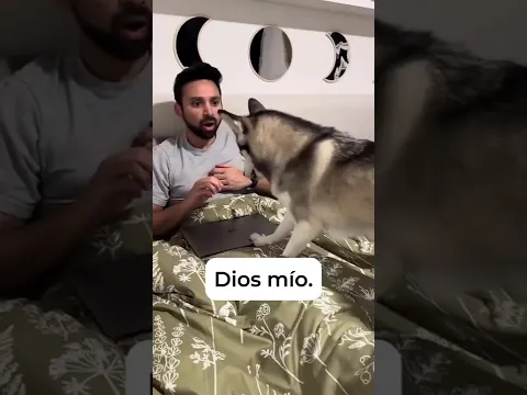 ¿Recuerdas cuando Sapphie le dijo a papá que dejara de trabajar? 🐾💼 #throwbackshorts