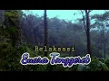 Download Lagu Suara tonggeret dan jangkrik untuk relaksasi