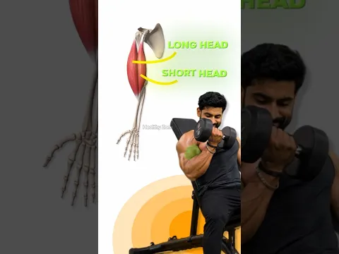 Still Small Arms? Fix These Biceps Growth Mistakes