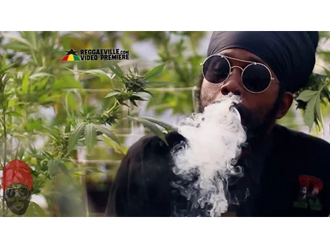 Download MP3 Ras Attitude - Marijuana (We Ah Bun) [Official Video 2016]