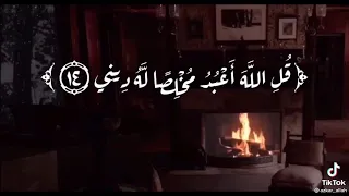 قل اني أخاف إن عصيت ربي عذاب يوم عظيم   الشيخ حسن صالح دندنها