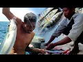 Download Lagu Mancing sistim Tonda, Pantang surut menembus BADAI | Catch \u0026 Cook
