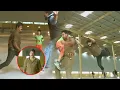 Download Lagu Balakrishna Blockbuster Ultimate Action Fight Scene | Telugu Movie Scene | @TeluguVideoZ