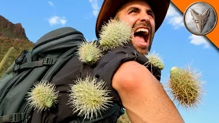 EXTREME Cactus Attack