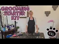 Grooming Starter Kit - The Basic and Essential Equipment Needed to Groom Pets
