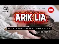 Lagu Terbaru ❗ ARIK LIA | Lagu daerah lamaholot adonara | OFFICIAL MUSIC VIDEO LIRIK@C-GMusicAll 