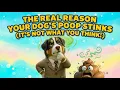 The Real Reason Your Dog s Poop Smells So Bad Bernie s Best