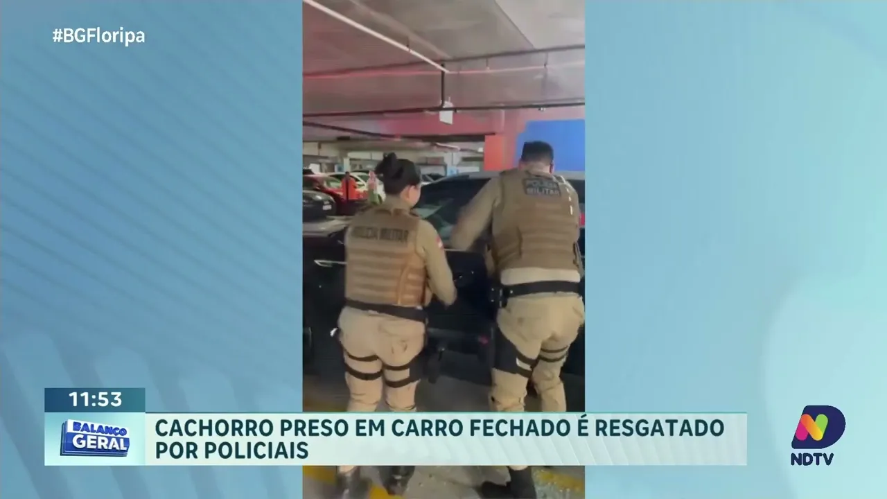 Cachorro é resgatado de veículo fechado por policiais no Rio Tavares