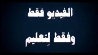اوضاع جديدة للجماع من الخلف بالصور المتحركة 