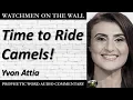 Time to Ride Camels - Powerful Prophetic Encouragement from Yvon Attia
