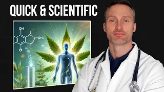 How To Detox From THC What Actually Works Doctor s Take
