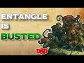 Mastering Entangle How to Use DnD Spells