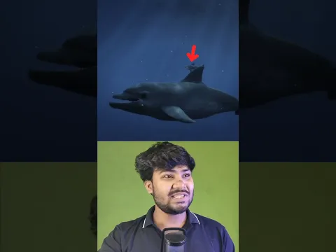 GTA 5 But I Became a SHARK to Reach the Secret Island at N Point! #gta5 #shorts