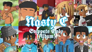 nasty c spank daddy snippets only album 