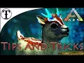 Fast Shinehorn Taming Guide Ark Survival Evolved Tips and Tricks