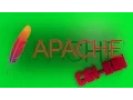 Apache CGI BIN C programing tutorial