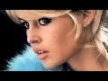 Download Lagu The Nortons  Married to the Blues